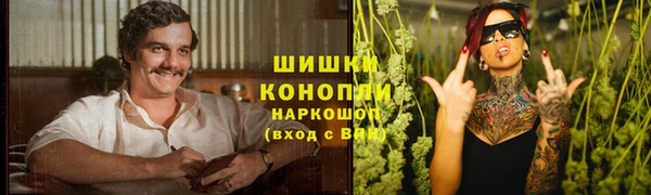 спиды Гусев