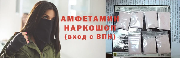 ГАЛЛЮЦИНОГЕННЫЕ ГРИБЫ Гусь-Хрустальный