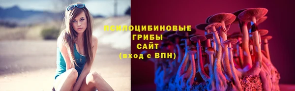 ГАЛЛЮЦИНОГЕННЫЕ ГРИБЫ Гусь-Хрустальный