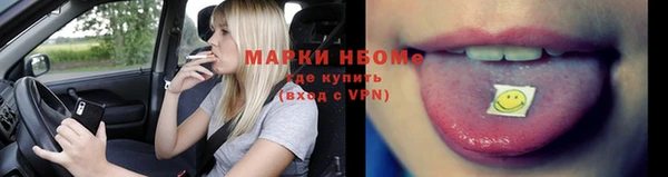 ГАЛЛЮЦИНОГЕННЫЕ ГРИБЫ Гусь-Хрустальный