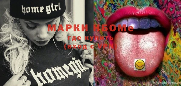 ГАЛЛЮЦИНОГЕННЫЕ ГРИБЫ Гусь-Хрустальный