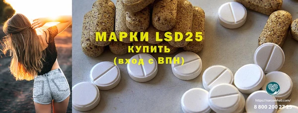 спиды Гусев