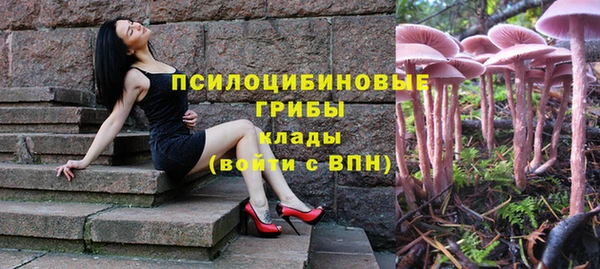 каннабис Гусиноозёрск