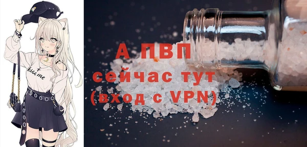 спиды Гусев