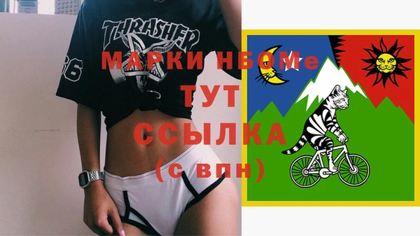 ГАЛЛЮЦИНОГЕННЫЕ ГРИБЫ Гусь-Хрустальный