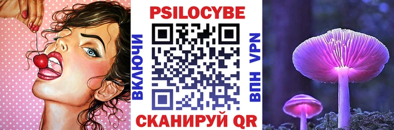 Купить  Карабаново  Псилоцибиновые грибы Cubensis 